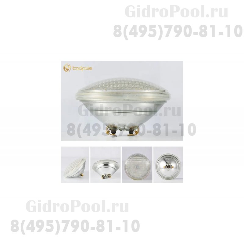 Лампа PAR56 (45Вт/12В) LED Cold white Tadpole JKD-P56-TG