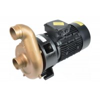 Насос (54 м3/ч 380В 2,2кВт) (без электропакета) для противотока Jet Swim 1200 Pahlen 1301280/1301285