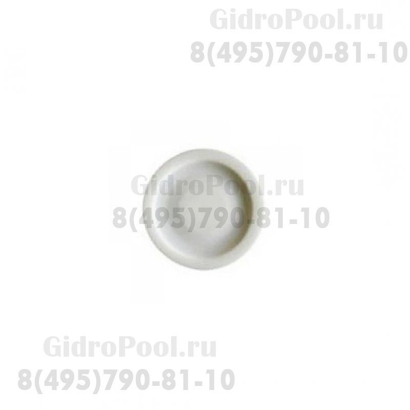 Мембрана для насосов 20 л/ч., Тефлон