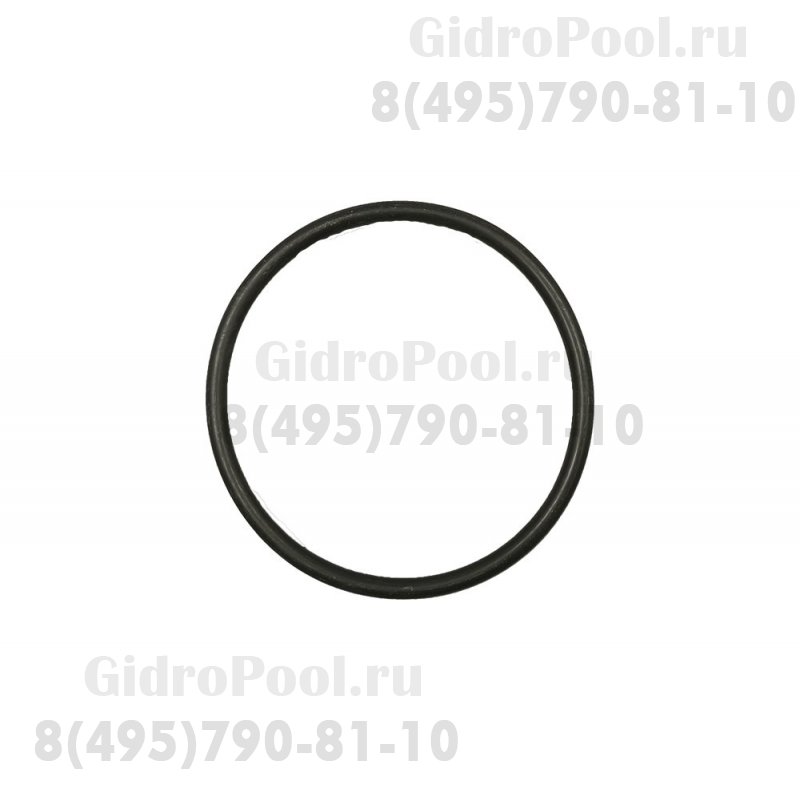 Прокладка-кольцо крышки автохлоратора Competition 75372