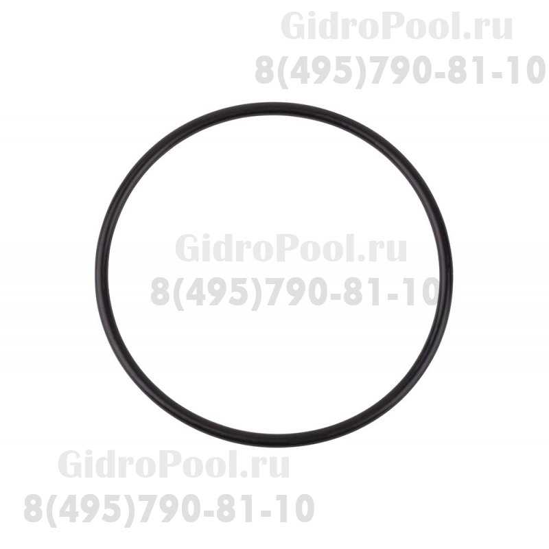 Прокладка-кольцо крышки префильтра насоса SBEmauxCP01W01/02011085/02010248