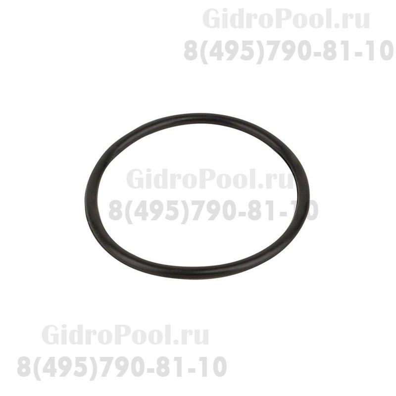 Прокладка-кольцо фланца бочки фильтра FSU Emaux (02010045)