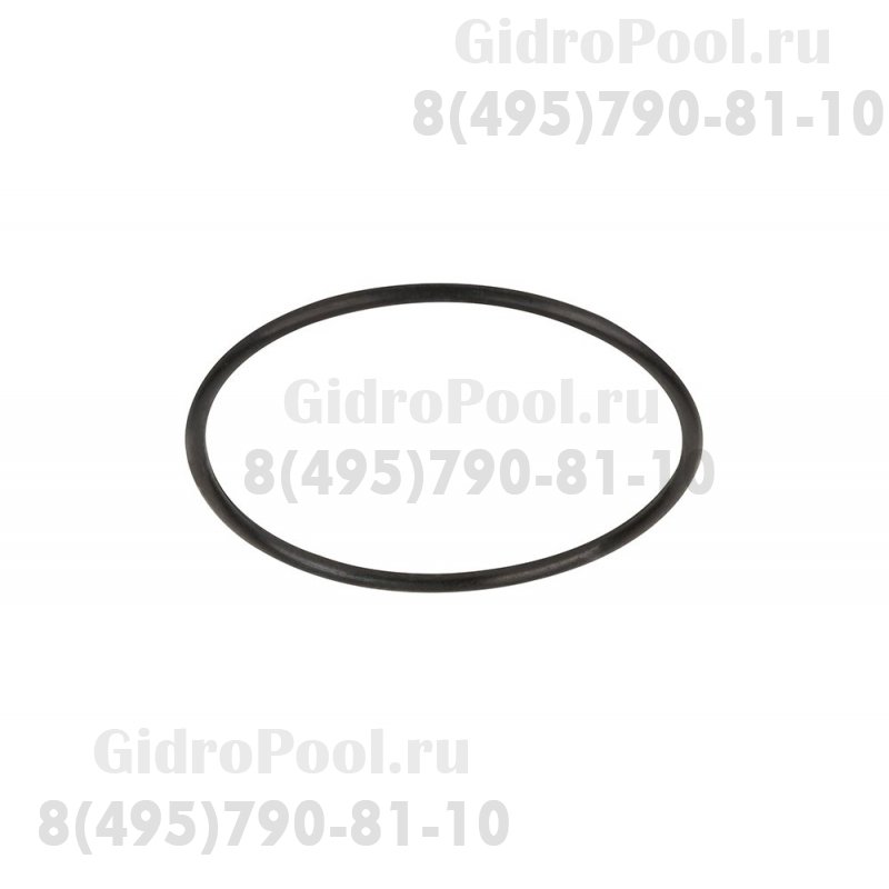 Прокладка-кольцо диффузора насоса SS Emaux (031107/ 02011004)