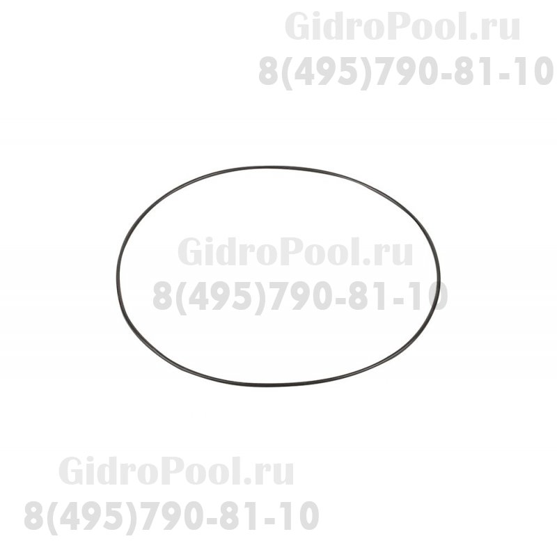 Прокладка крышки задней (фланца) насоса SB Emaux СP-01W-14 (02011093)