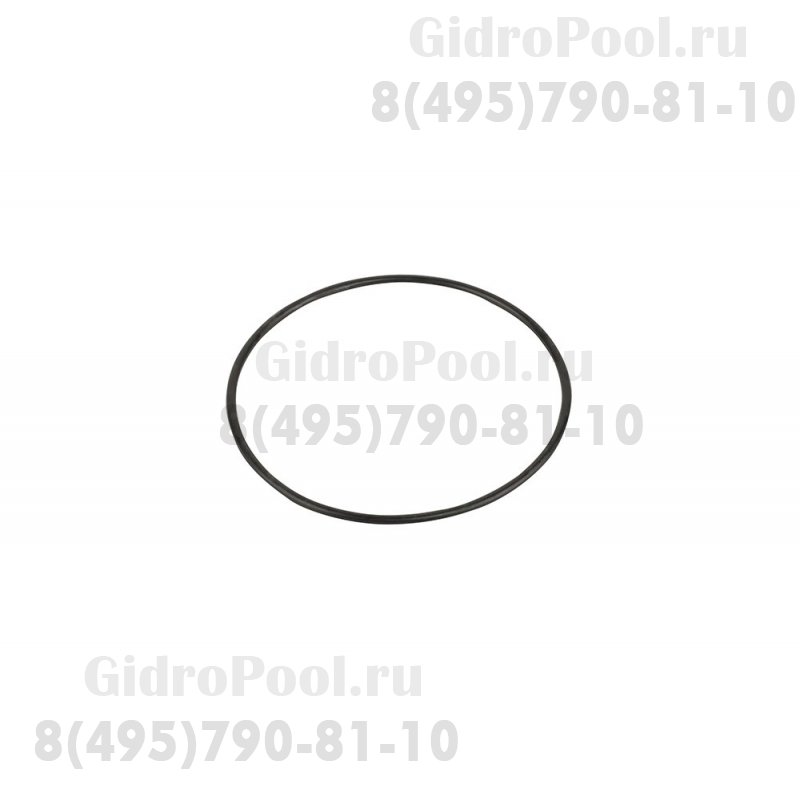 Прокладка-кольцо крышки префильтра насоса SC Emaux 02011077/02021088