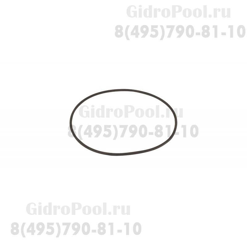 Прокладка-кольцо крышки префильтра насоса AQUA-MINI Emaux (02020049)