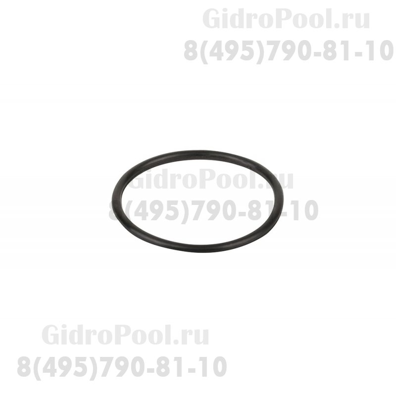 Прокладка-кольцо d53x3 муфты d50 6-ти поз. вентиля (1 ½”) Emaux 02011003/111002364