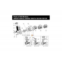 Болт крышки задней насоса SS Emaux (03011035)