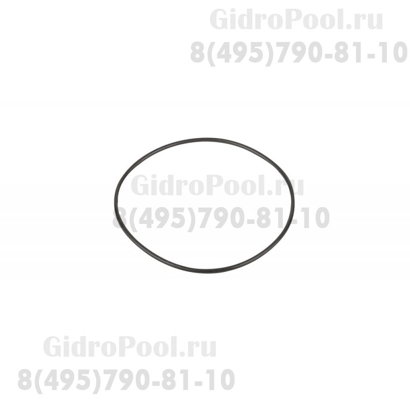 Прокладка крышки задней (фланца) насоса SS Emaux (031113/02011090)