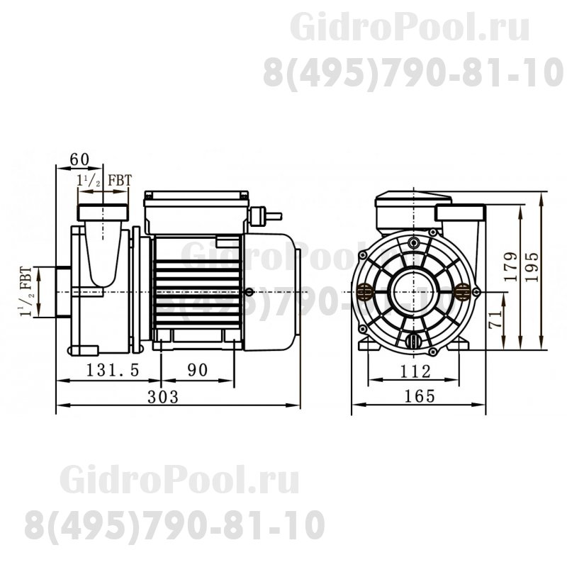 Насос (0,75кВт 220B 20 м3/ч h 6м в.ст.) Mayer Schwimmbad LX WTC100-AB