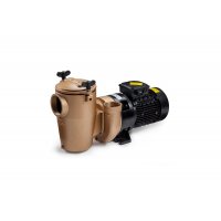 Насос бронзовый 2.2kw с префильтром Pahlen 11221