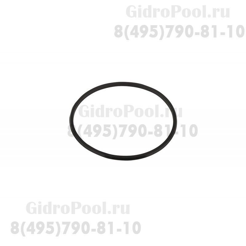 Прокладка-кольцо муфты насоса SS Emaux (02011104)