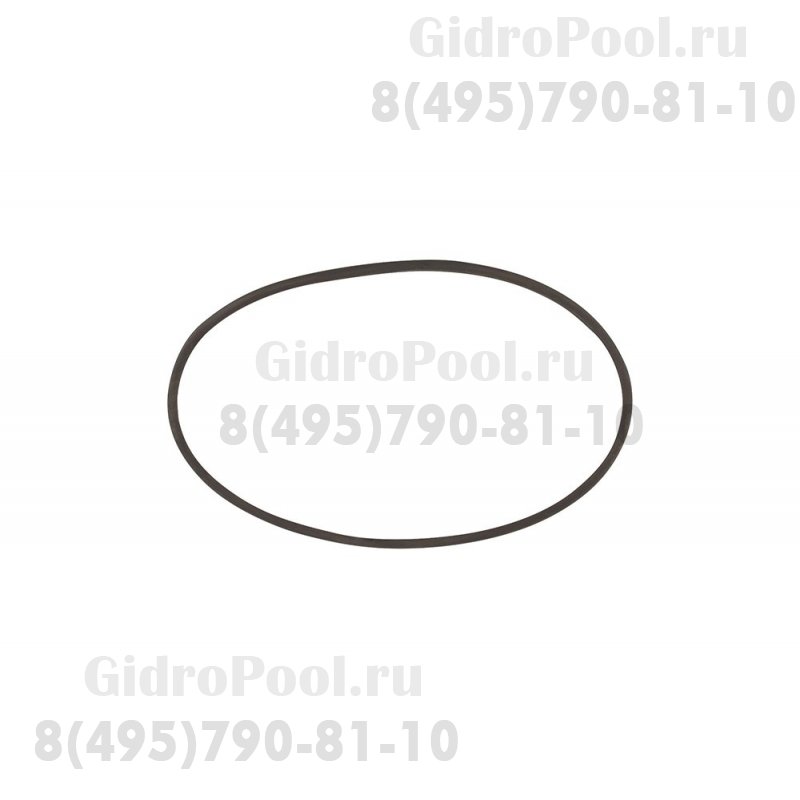 Прокладка-кольцо крышки корпуса 6-ти поз. вентиля (2
