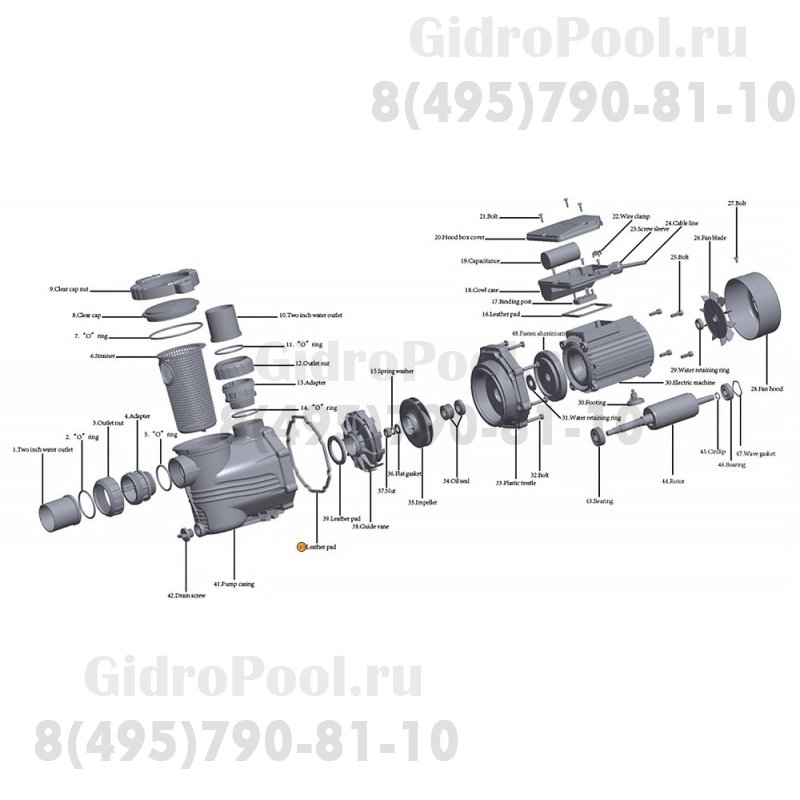 Прокладка-кольцо крышки задней насоса HFC 02 Happy Pump