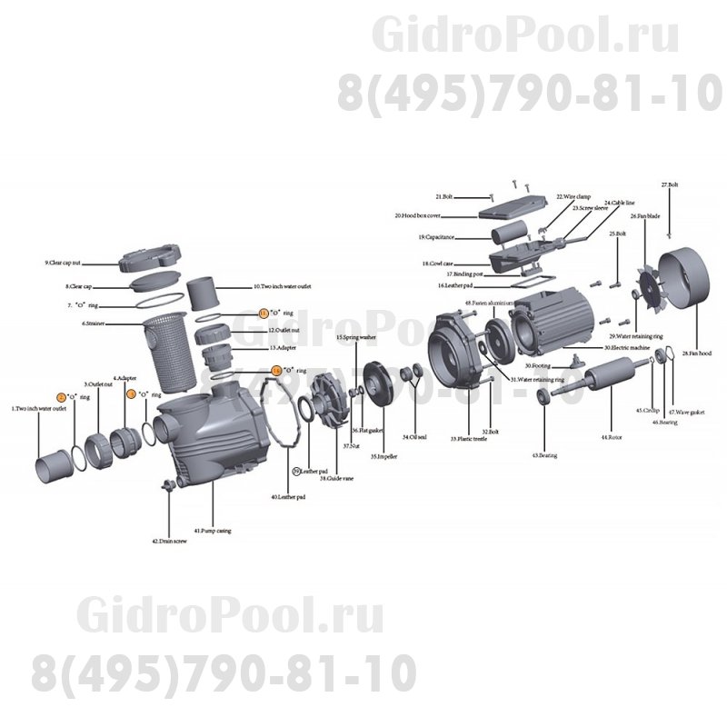 Прокладка-кольцо адаптера муфты d50 насоса HFC 02 (40х3,5) Happy Pump