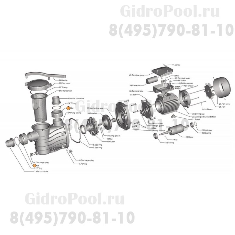 Гайка муфты d50 насоса HFC 03 Happy Pump