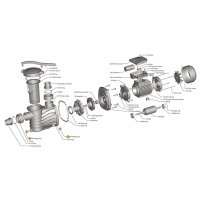 Винт сливной насоса HFC 02/03 Happy Pump