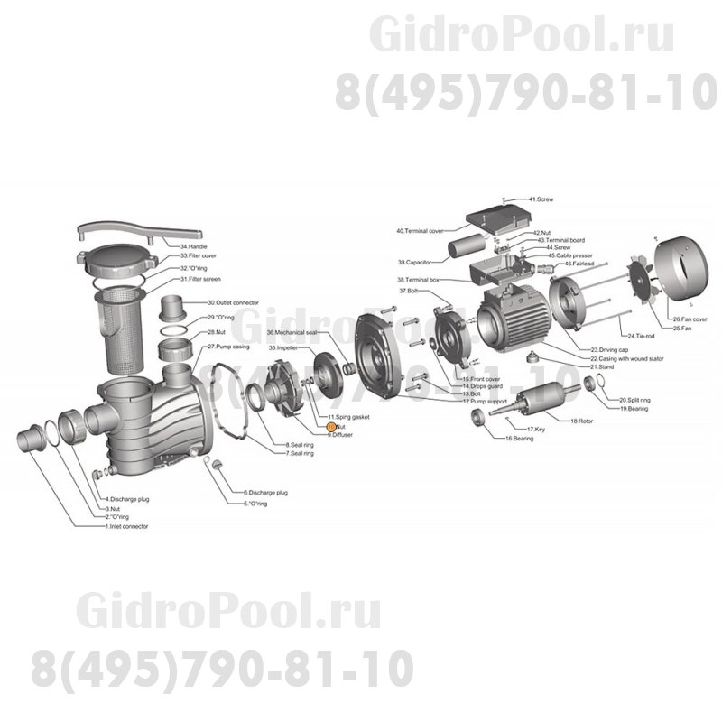 Гайка М10 рабочего колеса насоса HFC 02/03 AISI-304 Happy Pump