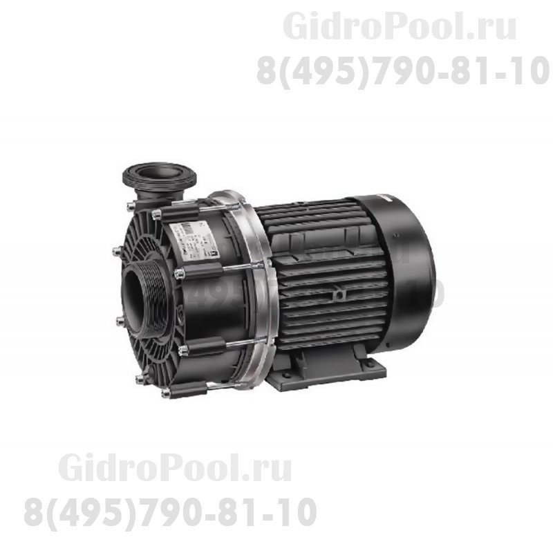 Насос (50 м3/ч 380В) Filterpump Badu 21-60/44 G Speck (236.0440.137)