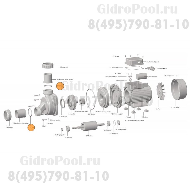 Прокладка-кольцо муфты d50 насоса HFC 02/HSPA (51х3,5) Happy Pump