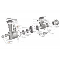 Прокладка-кольцо муфты d50 насоса HFC 03 (65х4,5) Happy Pump
