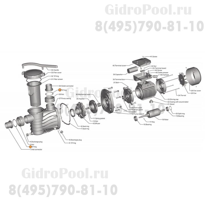 Прокладка-кольцо муфты d50 насоса HFC 03 (65х4,5) Happy Pump