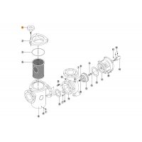 Болт крышки префильтра насоса KRF Kripsol RKR 010.A