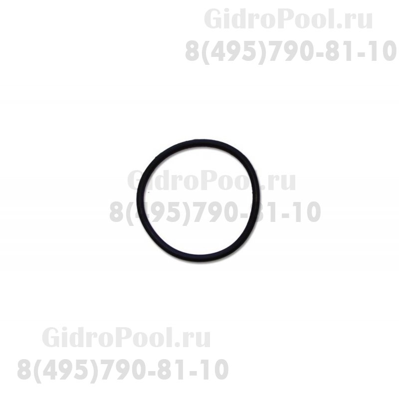 Прокладка-кольцо крышки префильтра насоса S2 Kripsol (SPX8100S)
