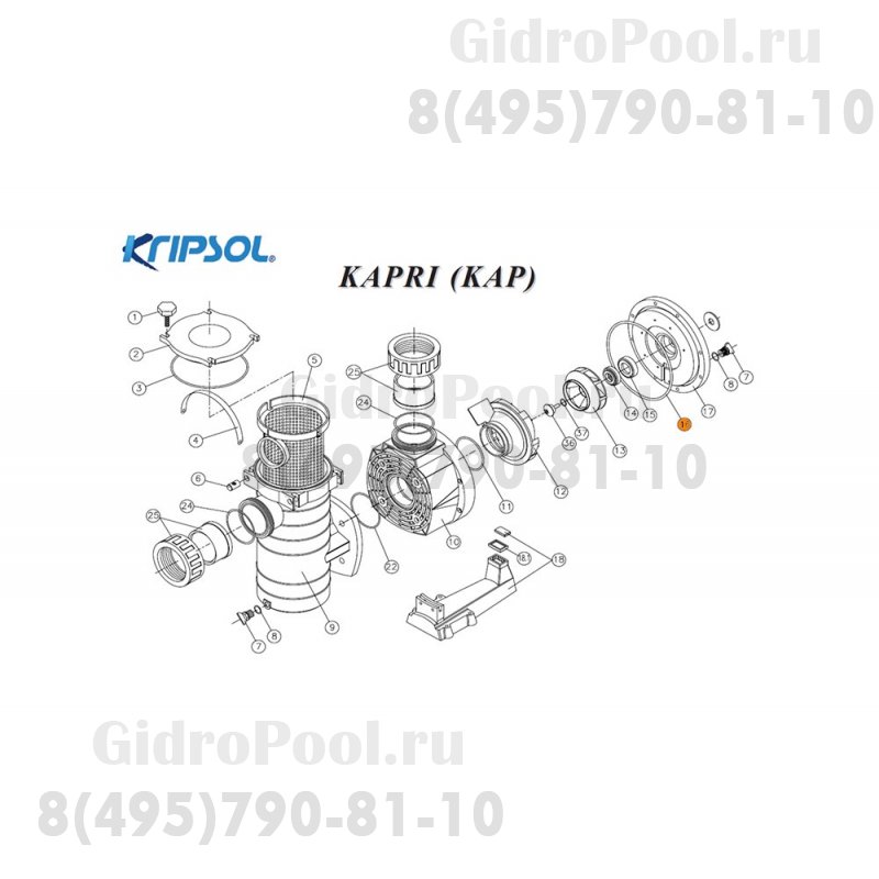 Прокладка крышки задней (фланца) насоса KA/KAP Kripsol RKA 160.A/RBH0013.03R/RPUM0016.04R