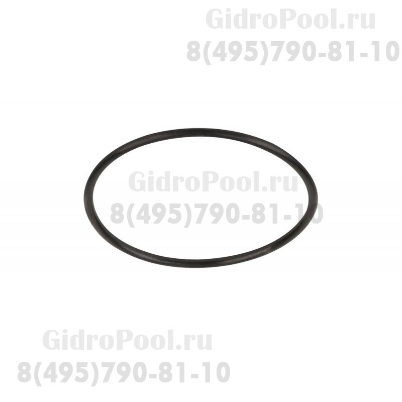 Прокладка-кольцо корпуса насоса KA/KAP Kripsol RKA 220.R/RBH0017.00R