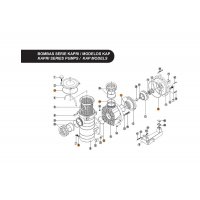 Прокладки (полный комплект) насоса KAP (RPUM3116.07R)