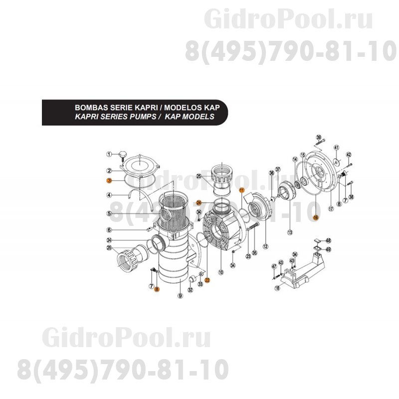 Прокладки (полный комплект) насоса KAP (RPUM3116.07R)