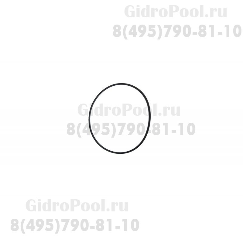 Прокладка-кольцо крышки префильтра насоса KAN Kripsol RBH0011.06R/RPUM0003.07R