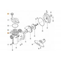 Болт с гайкой крышки префильтра насоса NK Kripsol RPUM0001.00R