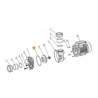 Прокладка крышки задней насоса SLP/WLP Mayer Schwimmbad LX F03010134