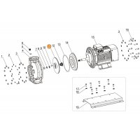 Рабочее колесо насоса SCA/CA100-80-160/15 Mayer Schwimmbad LX A03010156