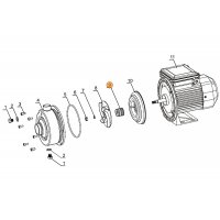 Сальник (компл.) насоса DWK50-100 Mayer Schwimmbad LX F01150062