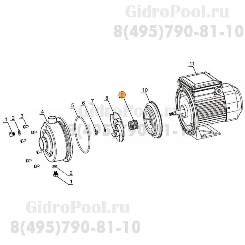 Сальник (компл.) насоса DWK50-100 Mayer Schwimmbad LX F01150062