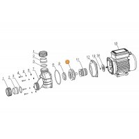 Рабочее колесо насоса WPPE100 Mayer Schwimmbad LX A03050431