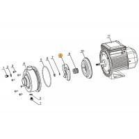 Рабочее колесо насоса DWK300 Mayer Schwimmbad LX A03010050
