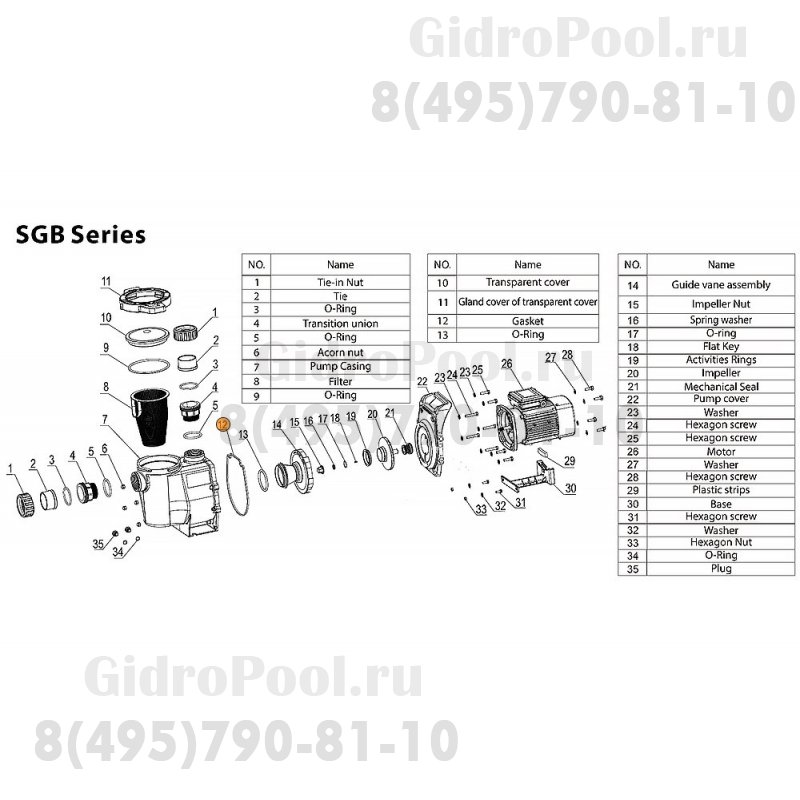 Прокладка крышки задней насоса SGB Mayer Schwimmbad LX F03010109