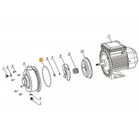 Прокладка-кольцо крышки задней насоса DWK Mayer Schwimmbad LX F02030027