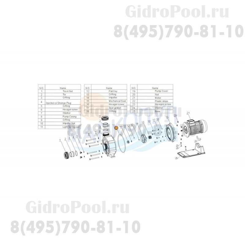 Прокладка-кольцо корпуса насосов WTB Mayer Schwimmbad