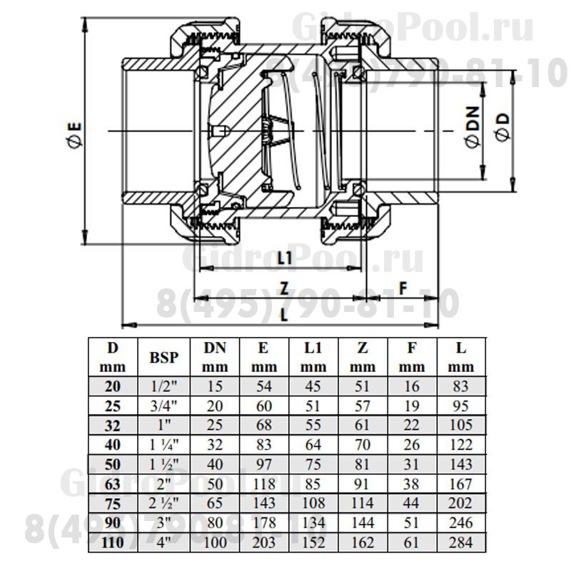 Обратный клапан Nozbart CPVC-022 пружинный  1/2дюйм. резьба с 2-х сторон